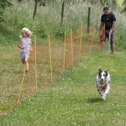 20220612 IMG 2232 1400