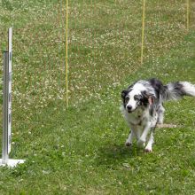 20220612 IMG 2235 1400