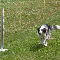 20220612 IMG 2235 1400