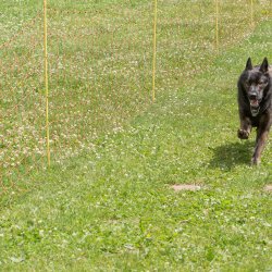 20220612 IMG 2243 1400