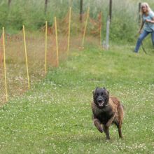 20220612 IMG 2254 1400