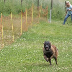 20220612 IMG 2254 1400