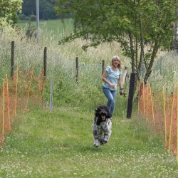 20220612 IMG 2259 1400