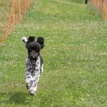 20220612 IMG 2263 1400