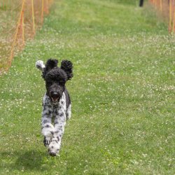 20220612 IMG 2263 1400