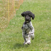 20220612 IMG 2264 1400