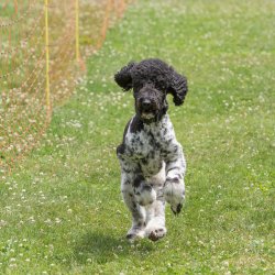 20220612 IMG 2264 1400