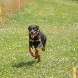 20220612 IMG 2270 1400