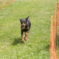 20220612 IMG 2271 1400