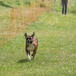 20220612 IMG 2278 1400