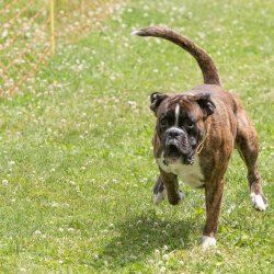 20220612 IMG 2281 1400