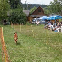 20220612 IMG 2288 1400