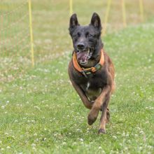 20220612 IMG 2296 1400