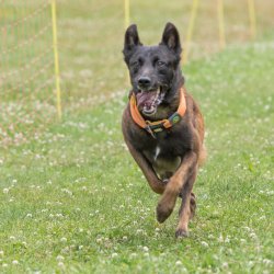 20220612 IMG 2296 1400