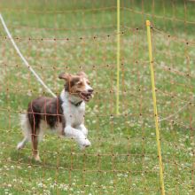 20220612 IMG 2301 1400