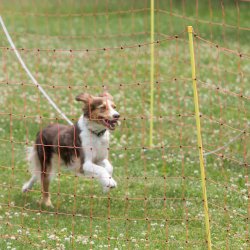 20220612 IMG 2301 1400