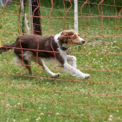 20220612 IMG 2304 1400