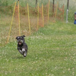 20220612 IMG 2307 1400