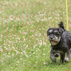 20220612 IMG 2312 1400