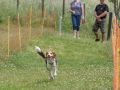 20220612 IMG 2316 1400