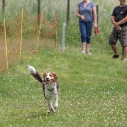 20220612 IMG 2316 1400