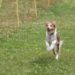 20220612 IMG 2318 1400