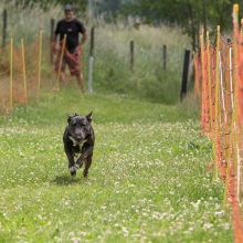 20220612 IMG 2072 1400