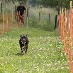 20220612 IMG 2072 1400