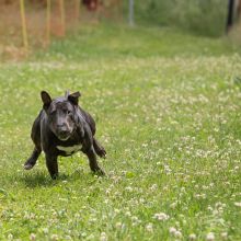 20220612 IMG 2074 1400