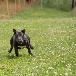 20220612 IMG 2074 1400