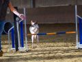 DSC 0417 1400
