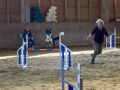 DSC 0541 1400