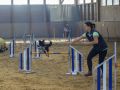DSC 0902 1400