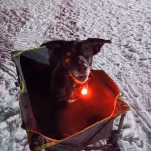 20221218 WhatsApp Image 2022 12 17 at 18.08.55 1400