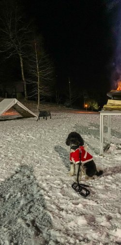 20221218 WhatsApp Image 2022 12 17 at 23.08.44 1400