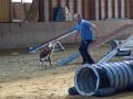 DSC 0596 1400