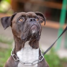 20190813 IMG 5875 Bearbeitet