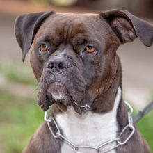 20190813 IMG 5876 Bearbeitet