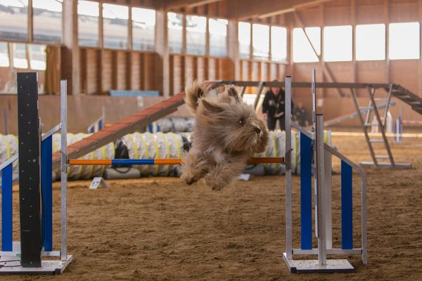 20191027 IMG 7385