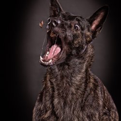 20191123 IMG 7596 Bearbeitet