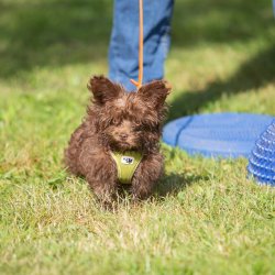 index 1900px 20250906 img