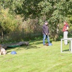 index 1900px 20250906 img