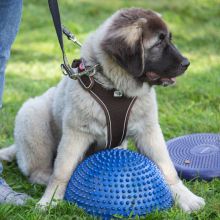 index 1900px 20250906 img