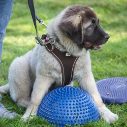 index 1900px 20250906 img