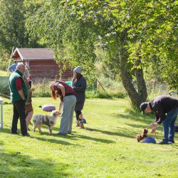 index 1900px 20250906 img