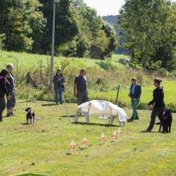 index 1900px 20250906 img