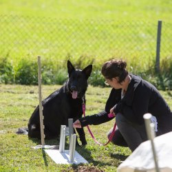 index 1900px 20250906 img