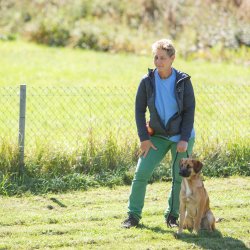 index 1900px 20250906 img