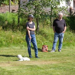 index 1900px 20250906 img