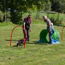 index 1900px 20250906 img